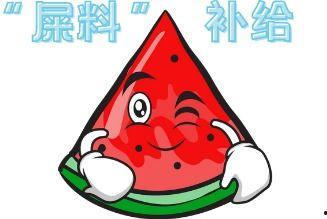 吃瓜现场是什么意思,网络热议背后的真相与反思